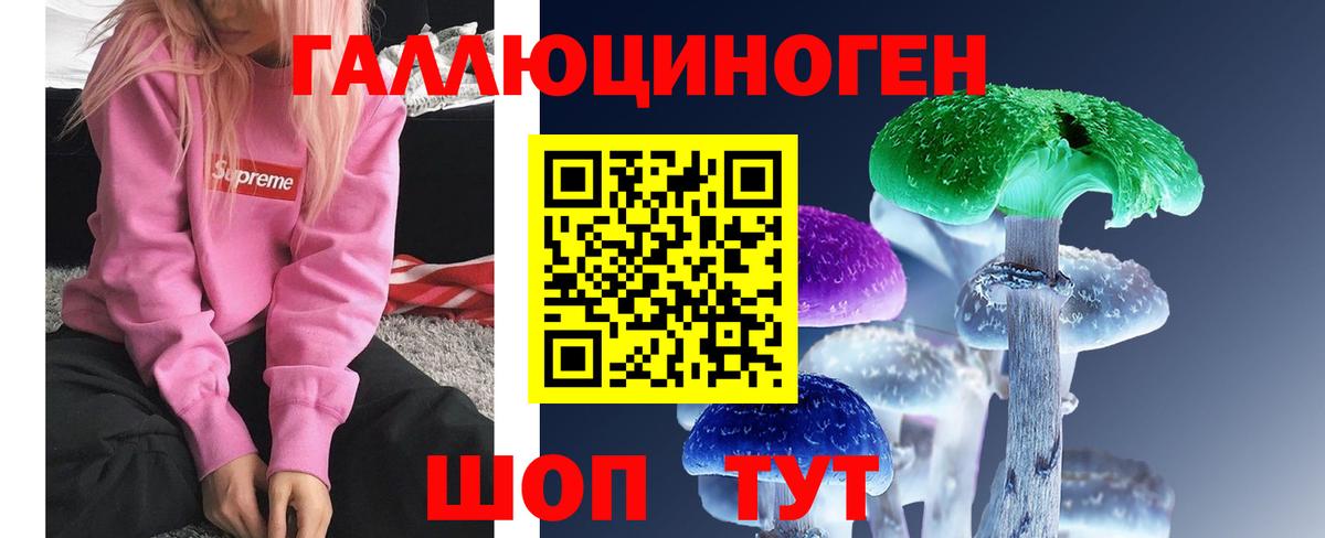 Псилоцибиновые грибы MAGIC MUSHROOMS  Галлюциногенные грибы прущие грибы  Гагарин  Вход с VPN 
